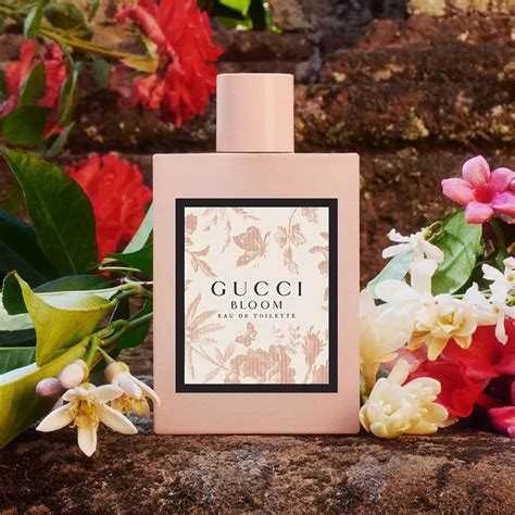 gucci fragrance bloom|gucci bloom fragrantica.